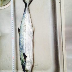 ショアプラッキング