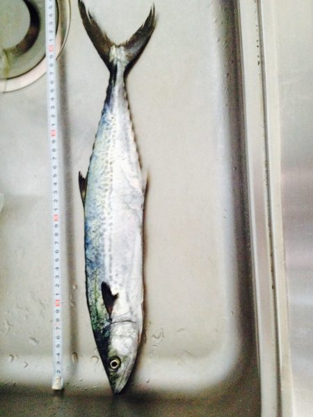 ショアプラッキング