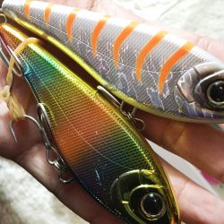 サーフシーバス