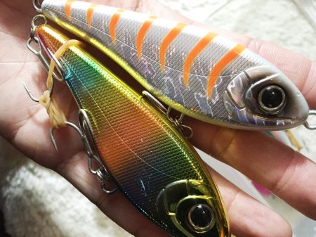 サーフシーバス