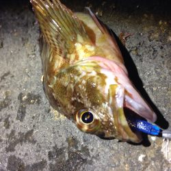 ライトゲーム開幕！