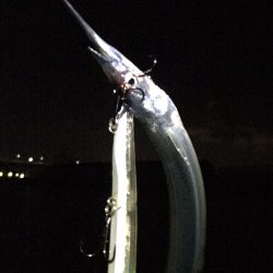 なんとか一本！