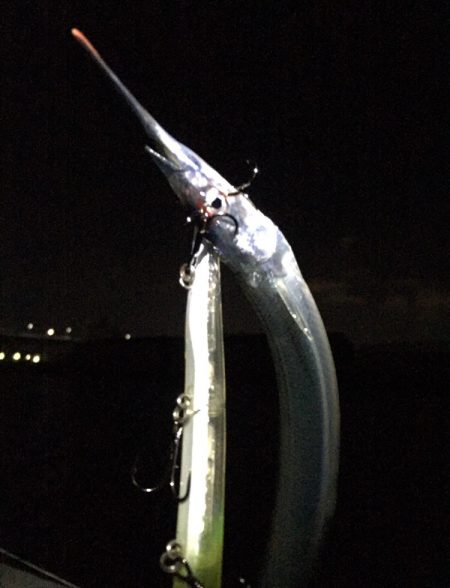 なんとか一本！