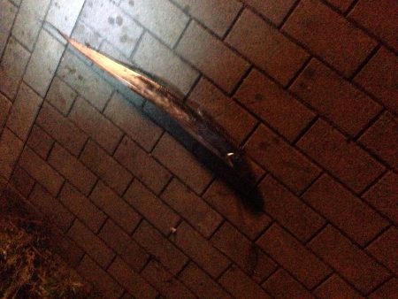 寒くなってきた