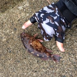 佐津海水浴場で釣行