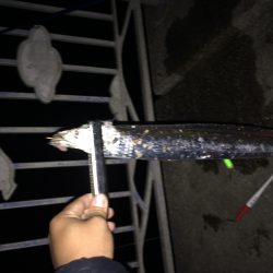 またまた行ってきました！