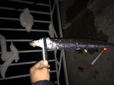 またまた行ってきました！