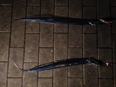 バラシが多かった