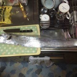 コスモにドラゴン現る