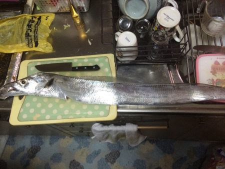 コスモにドラゴン現る