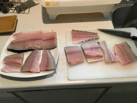 思わぬ魚が釣れましたー