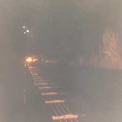 雨の中行ってきました