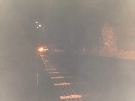 雨の中行ってきました