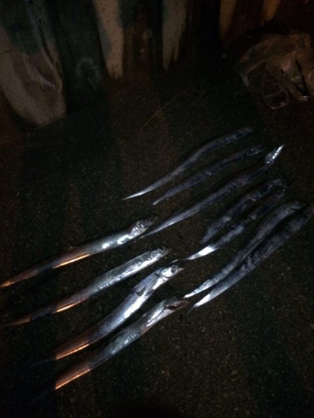 そろそろ終盤かな？