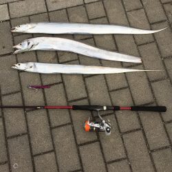 当たりはあるんだが