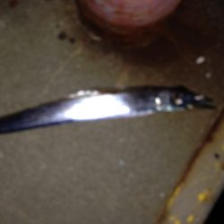 早くも終盤?日ムラありすぎ