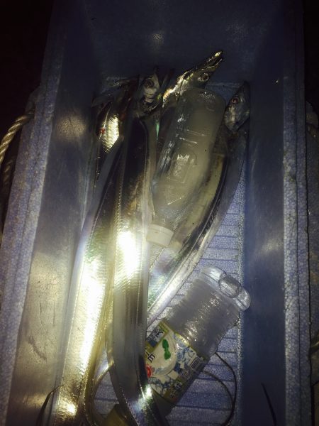 タッチー( ´ ▽ ` )