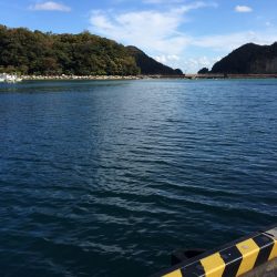 サヨリが一日中入れ食いでした