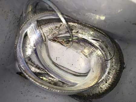 短時間ワインド