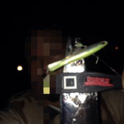 太刀魚のちアジング