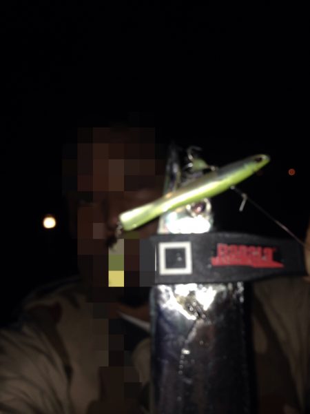 太刀魚のちアジング