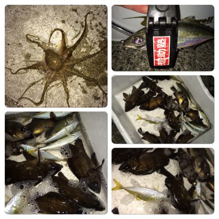 アジ。メバル 爆釣！