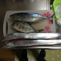 南塩屋で太刀魚、煙樹ヶ浜でショアジギング