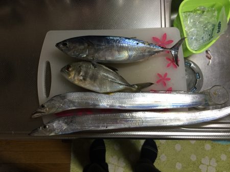 南塩屋で太刀魚、煙樹ヶ浜でショアジギング