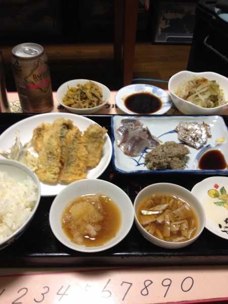 久しぶりにサビキも