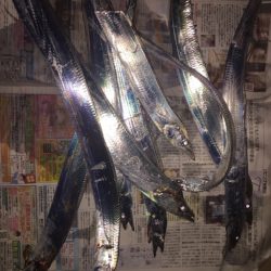 水潮で水がクリア、風強いの悪条件