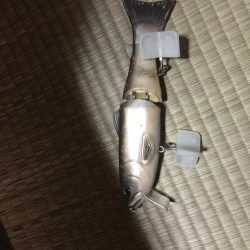 サイレントフィッシング笑