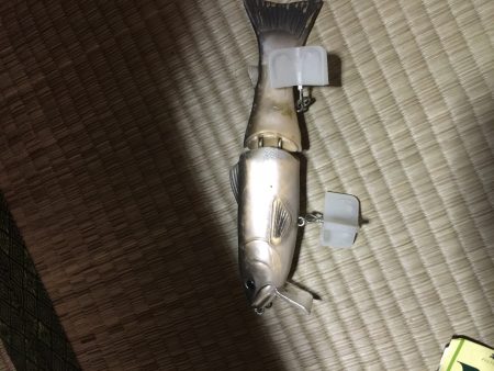 サイレントフィッシング笑