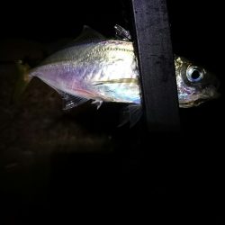 雨はチャンス。