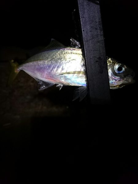 雨はチャンス。