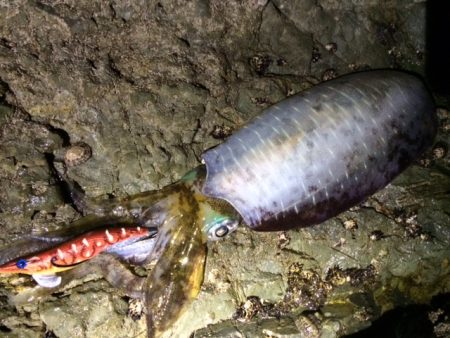 ようやくキロアップ！