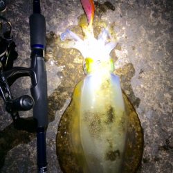 まぁまぁサイズ♪