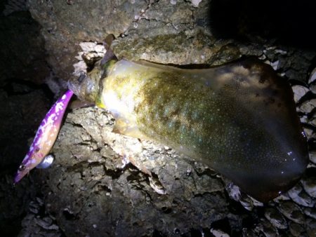 アタリはあっても・・・