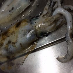 キロアップ続々