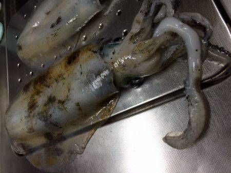 キロアップ続々