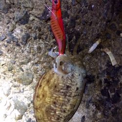 久々の泉南で～～