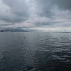 太刀魚のはずが。。。ガシリング