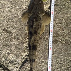 激安メタルバイブで爆釣！