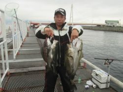 尼崎市立魚つり公園　シラサエビでセイゴなど