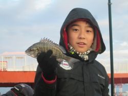 尼崎市立魚つり公園 投稿