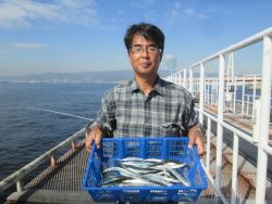 サヨリ大漁！尼崎市立魚つり公園