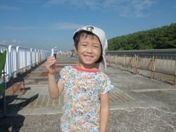 【6日】大阪南港海釣り公園サビキ釣果