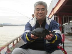 尼崎市立魚つり公園 エビ撒きでスズキ、ハネ…
