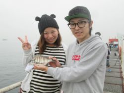 尼崎市立魚つり公園　サヨリ、イワシほか