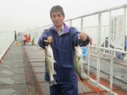 尼崎市立魚つり公園　サヨリ、イワシほか