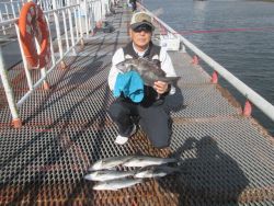 尼崎市立魚つり公園　エビ撒きが調子良くなっ…